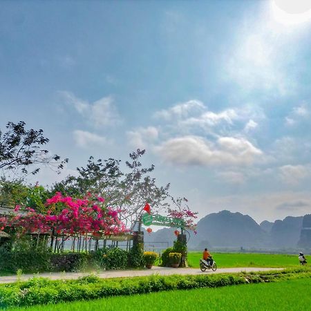 Jungle Boss Travel Lodge Phong Nha Extérieur photo
