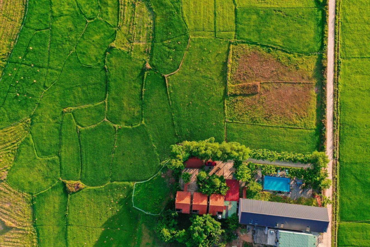 Jungle Boss Travel Lodge Phong Nha Extérieur photo