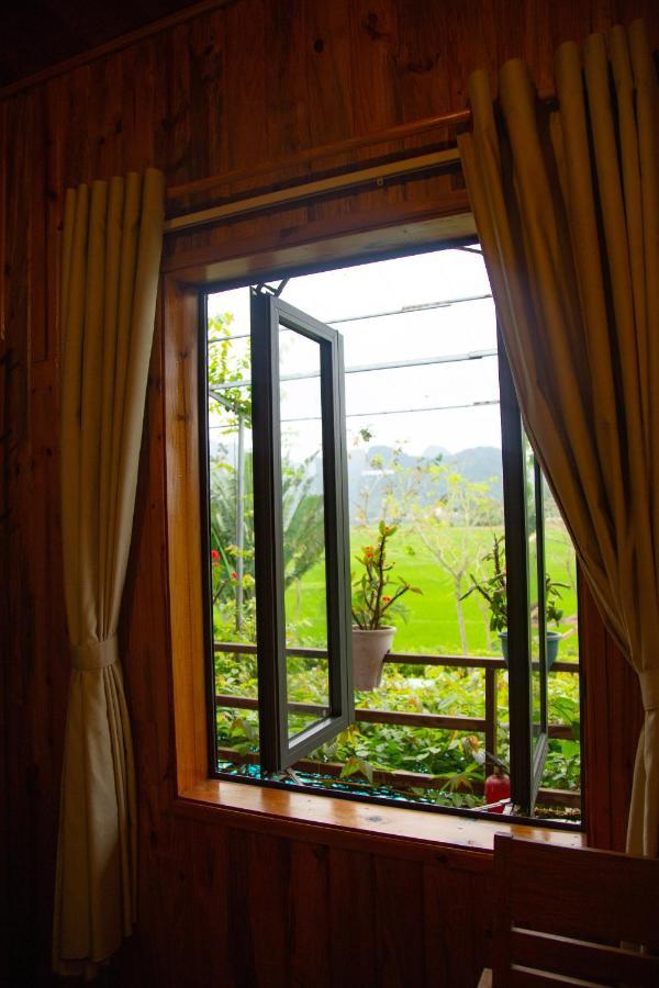 Jungle Boss Travel Lodge Phong Nha Extérieur photo