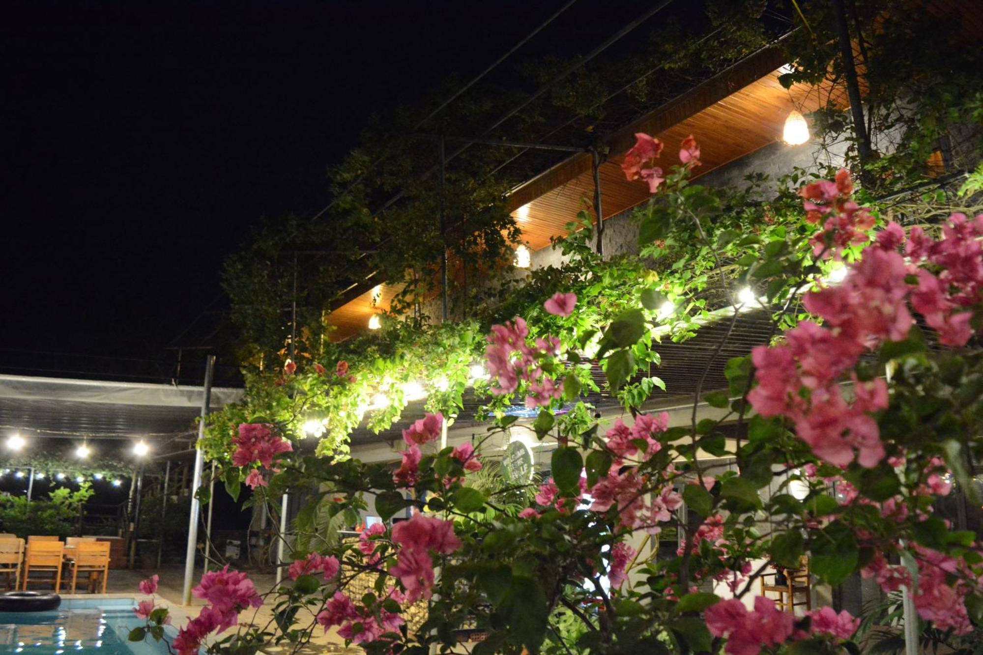 Jungle Boss Travel Lodge Phong Nha Extérieur photo