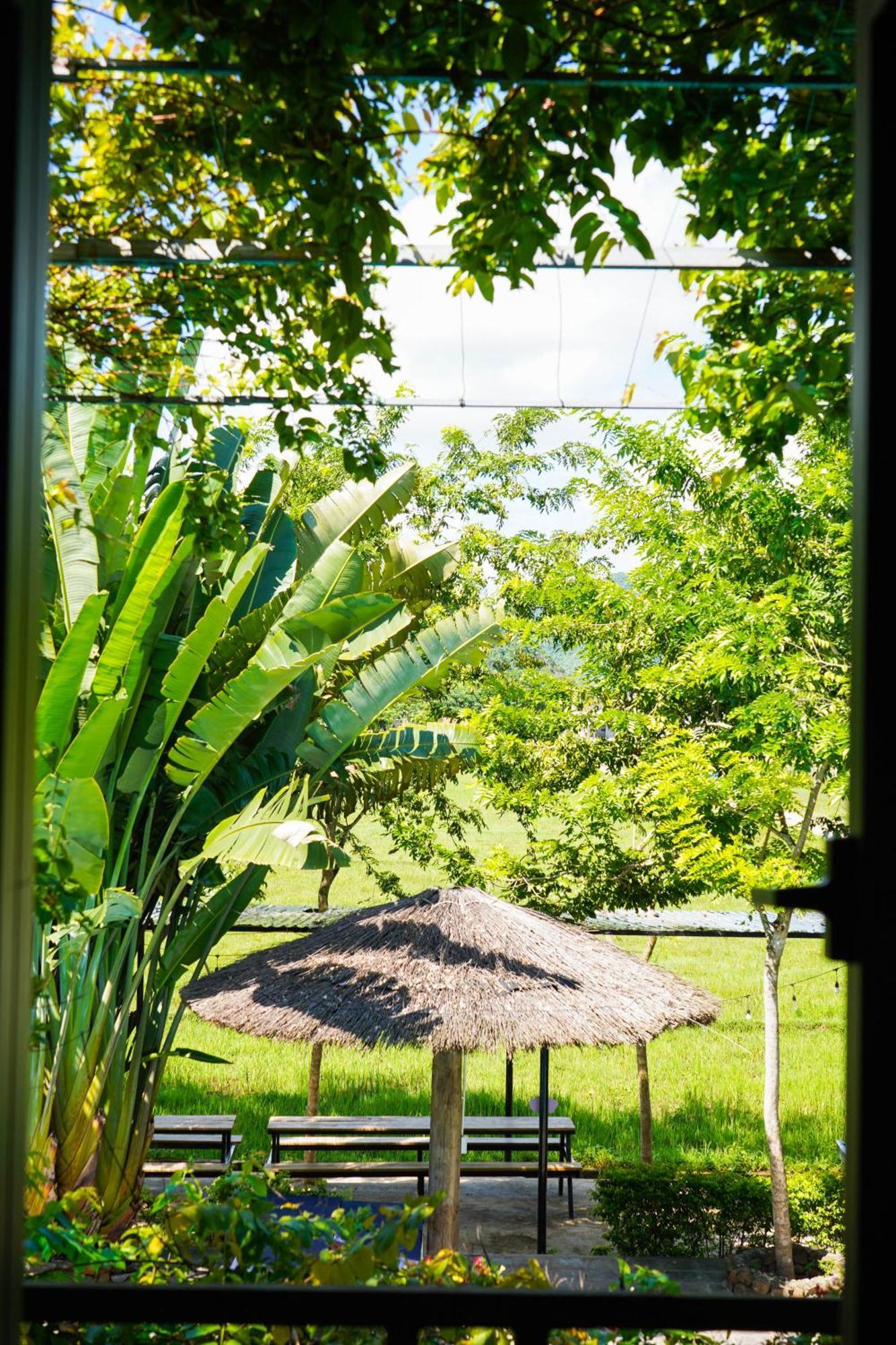 Jungle Boss Travel Lodge Phong Nha Extérieur photo